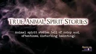 True Animal Spirit Stories Vol 3 &ndash; Real Pet Ghost Encounters