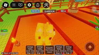 Thử Bug Tr&aacute;i Bone Blossom Si&ecirc;u To Bằng Pet Orange Tabby Trong Grow A Garden