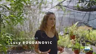 PAT Zerbaz : De la graine &agrave; l'actif