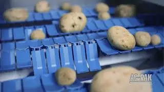NEWTEC Celox P UHD Dual Lens Optical Grader for Potatoes from Ag Pak