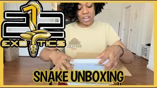 New Pickup from 212 Exotics!! | Snake Unboxing | Ball Python Breeder | PRECIOUS PYTHONS