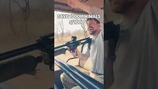 MR.BEAST CHALLENGE SAVE 1000 ANIMALS 5/1000 CREDIT TO @MrBeast  #mrbeastchallenge #mrbeastshorts