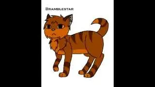 Bramblestar's storm Voice audition