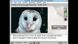 Animal Kingdom: The Vertebrates -- Birds - Cranes through Passerines (CD-ROM) [1995]
