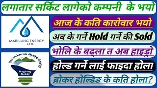 Mabilung energy limited and daramkhola hydro energy limited today update 