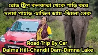 Road Trip Dalma Forest | Dalma Wildlife Sanctuary | Dalma Hill | দলমা পাহাড়ে গাড়ি চালিয়ে | Road Trip