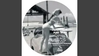 Got to the Funk (Stephane Deschezeaux Remix)