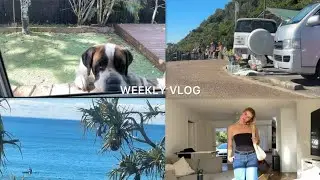WEEKLY VLOG | a cockroach flew on me