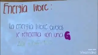 Energ&iacute;a libre y espontaneidad / Reacciones exerg&oacute;nicas y enderg&oacute;nicas