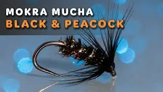 Black & Peacock Wet Fly &ndash; Easy Step-by-Step Fly Tying Tutorial