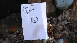 Daisy lever Action Pop Gun,...