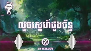 លួចស្នេហ៍ដួងច័ន្ទ🌚 -(BR Melody)