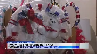 Abilene mom creates elaborate homecoming mums