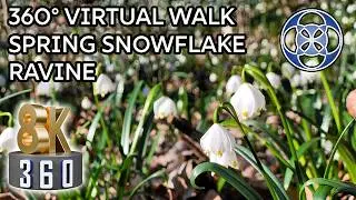 Snowflake Ravine Nature Reserve - VR 360&deg; Travel Experience - 360 8K VR with Ambisonic spatial sound