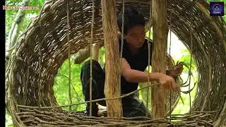 My Summer Jungle Survival Challenge: Building a Camp & Cooling Down