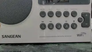 Gal Luft #2 (audio only)