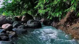 Gentle Stream Around River Stones &ndash; Relaxing Water Sounds for Deep Sleep