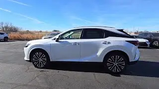 2024 Lexus RX 350 Luxury OK Oklahoma City, OKC, Norman, Edmond, Piedmont