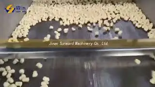 Baby Rice Extruder Machine Automatic Dosing Systems High Nutrition Powder Process Line#factory