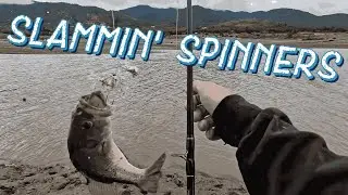 Slammin' Spinners! (Cold Weather Fishing) #bass #fishing #spinnerbait #winter #fall #bassfishing #no