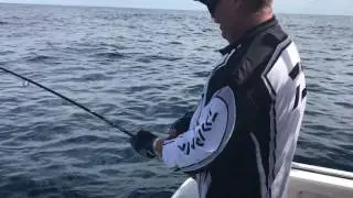 SUNSHINE COAST FISHING CHARTERS