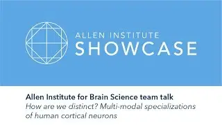 Multi-modal specializations of human cortical neurons | 2019 Allen Showcase Symposium