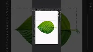 Tired of boring photos? Get exquisite results with this clipping mask technique! #Photoshop
