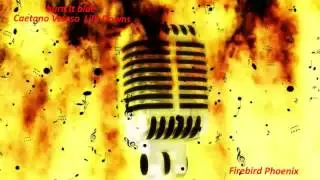 Burn It Blue : Caetano Veloso & Lila Downs