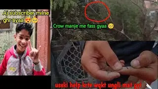 crow bachane ke chkr me ungli katt gyi ll finches ne orr egg dediye ll aj hamse subscriber milne aya