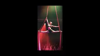 Aerial Silks act, 'Daddy', Nicole Walker