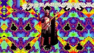 Zillatron - C.B.I. Files [Bootsy Collins, Buckethead, Bill Laswell]