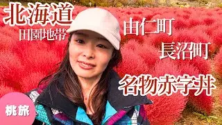 【紅葉③】北海道の太りすぎたあっぱれコキア。長沼町の赤字丼とは？｜Yuni Garden Kochia & Akaji-don in Naganuma, Hokkaido, Japan
