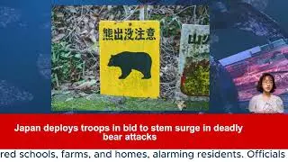 Japan deploys troops in bid to stem surge in deadly bear attacks