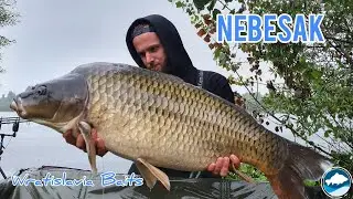 Łowisko Nebesak | Wratislavia Baits!