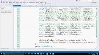 Save Image in SQL Server Example Asp Dot Net