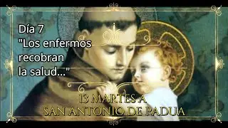 Dia 7-Milagrosos Trece Martes a San Antonio de Padua  