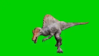 Epic Spinosaurus in Action 🦖 | Prehistoric Dinosaur Green Screen for Creators | Green1,2