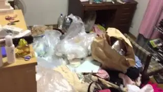 Japanese trash house