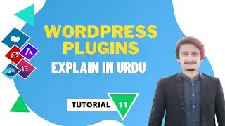 11:What Are Wordpress Plugins [ Advance Explanation In Urdu & Hindi ]