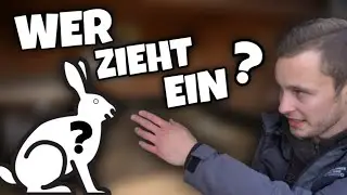 DIESES Kaninchen ZIEHT JETZT ein! ?🐇? + Stall umgebaut 🔨🪚 | Schustrich S 2.0 ⭐