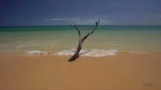 Colours of Fraser Island