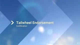 Microsoft Flight Simulator 2024 Tailwheel Endorsement Exam