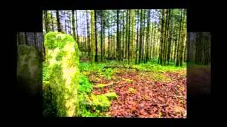 Cardinham Woods Cornwall