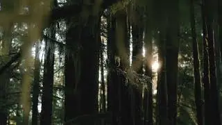 Shabe barat mein gunahon se sacchi tauba kaise karen Hadis mein kya jikr Kiya gaya hai 
