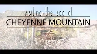 Visiting the Zoo at Cheyenne Mountain (Day 4)