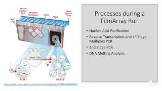 FilmArray GI Panel