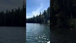Woods Canyon Lake, Arizona - A view from my paddleboard  #paddleboarding  #roadtrip #explorearizona
