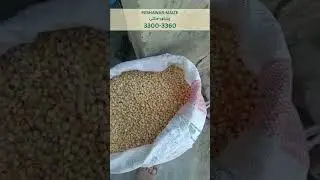 PAR: Peshawar Ghalla Mandi Maize Rates
