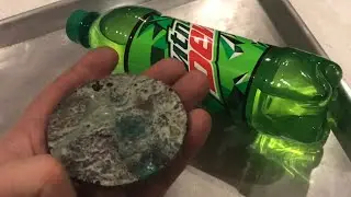 RECYCLING &ldquo;plastic&rdquo; pop bottles in the backyard (polyethylene terephthalate pete pet petp)