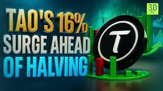 AI Coin TAO Surges 16% This Week Ahead Of Halving | Bittensor Coin Halving & Price Jump Analysis